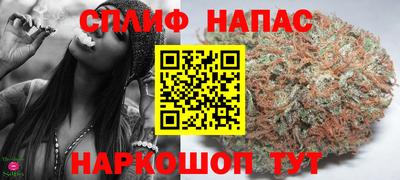 сатива Будённовск