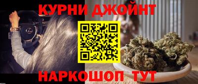 сатива Будённовск