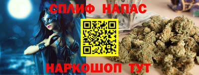 сатива Будённовск