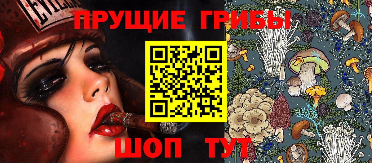 Псилоцибиновые грибы GOLDEN TEACHER Кулебаки