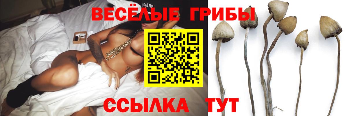 Галлюциногенные грибы ЛСД  Вход с VPN  Кулебаки 