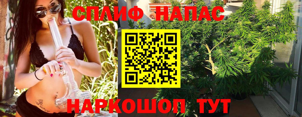 Кулебаки  Марихуана планчик  Канабис планчик  Вход с VPN  Бошки Шишки SATIVA & INDICA 