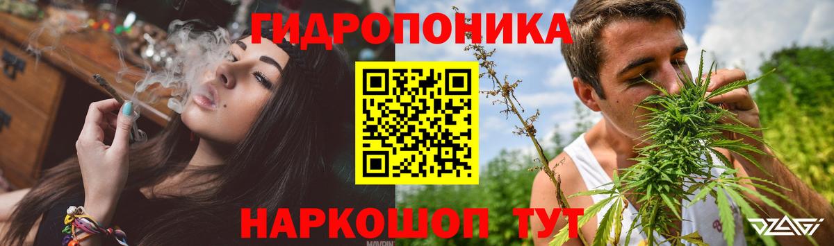 Каннабис конопля Кулебаки